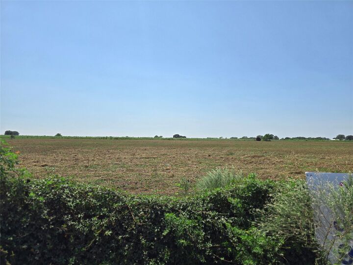 Property Photo: 3075 Meier Road S TX 77474
