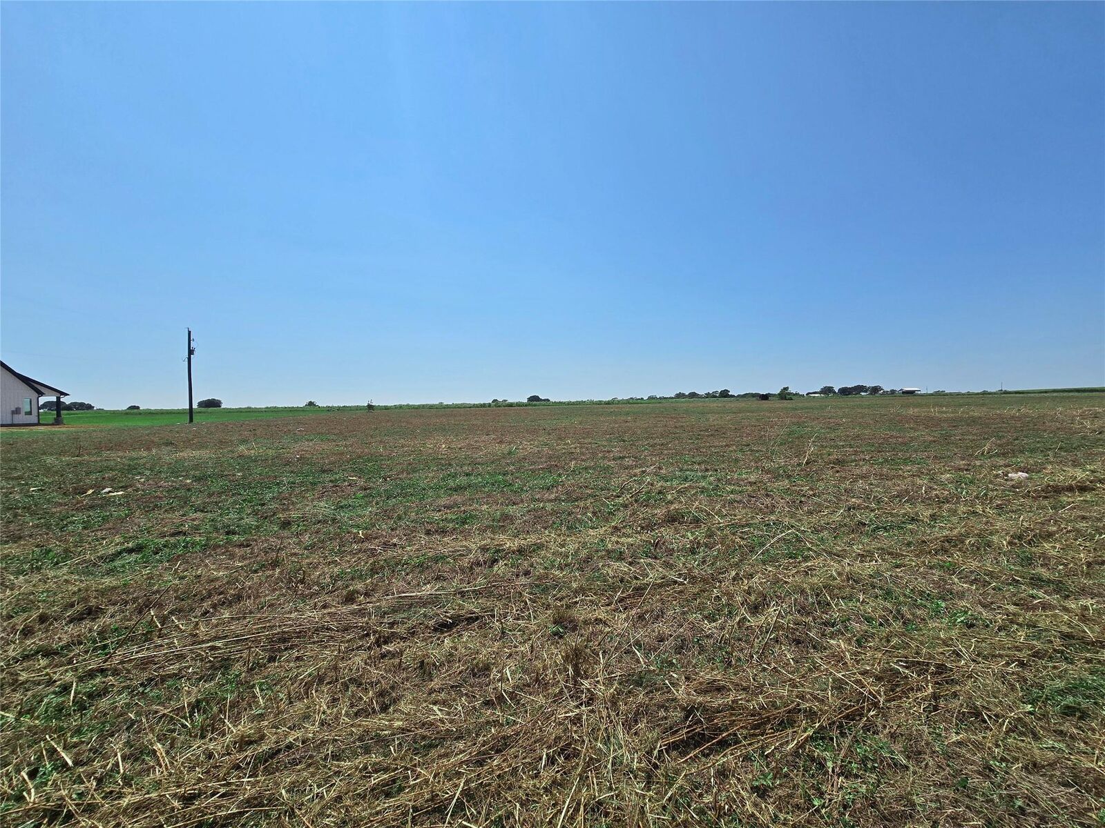 Property Photo:  3155 Meier Road S  TX 77474 