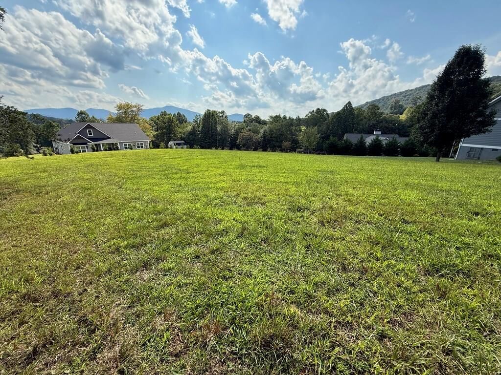Property Photo: Lot 54 The Preserve GA 30582