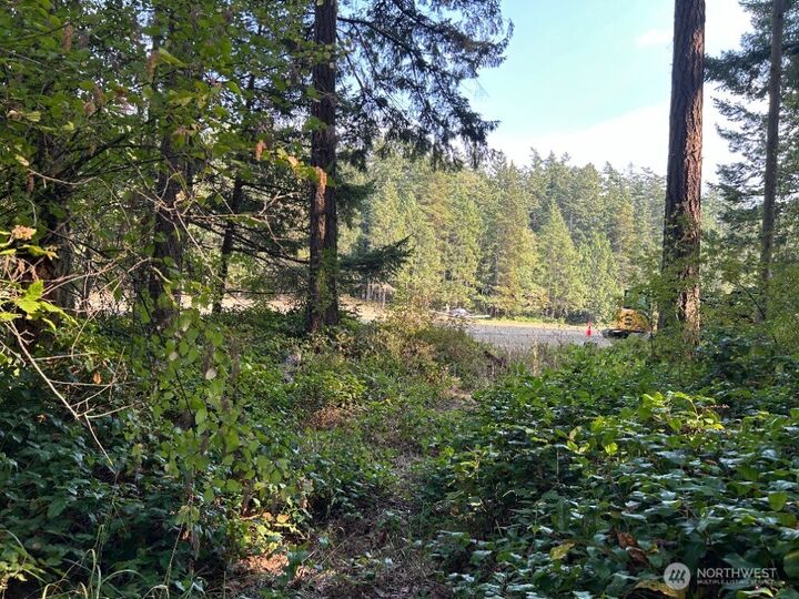135  Chinook Way  Center Island WA 98221 photo