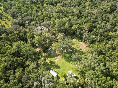 Property Photo:  15070 Lucilles Shady Lane  FL 34661 
