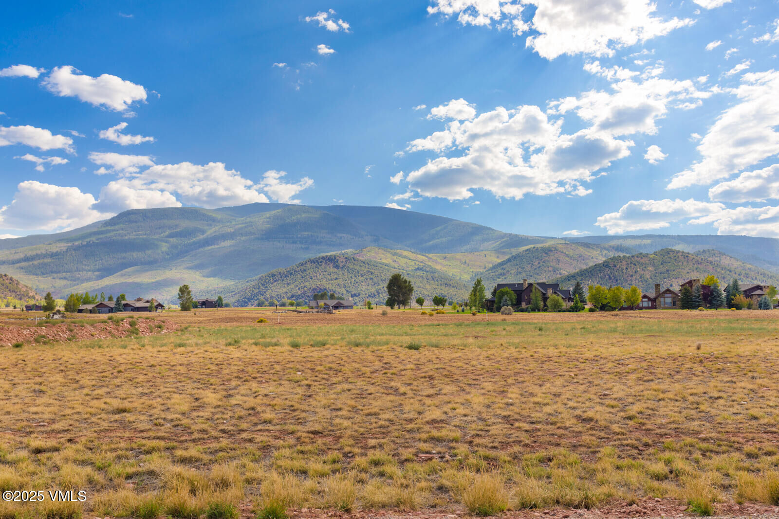 Property Photo:  113 Bucktail  CO 81637 