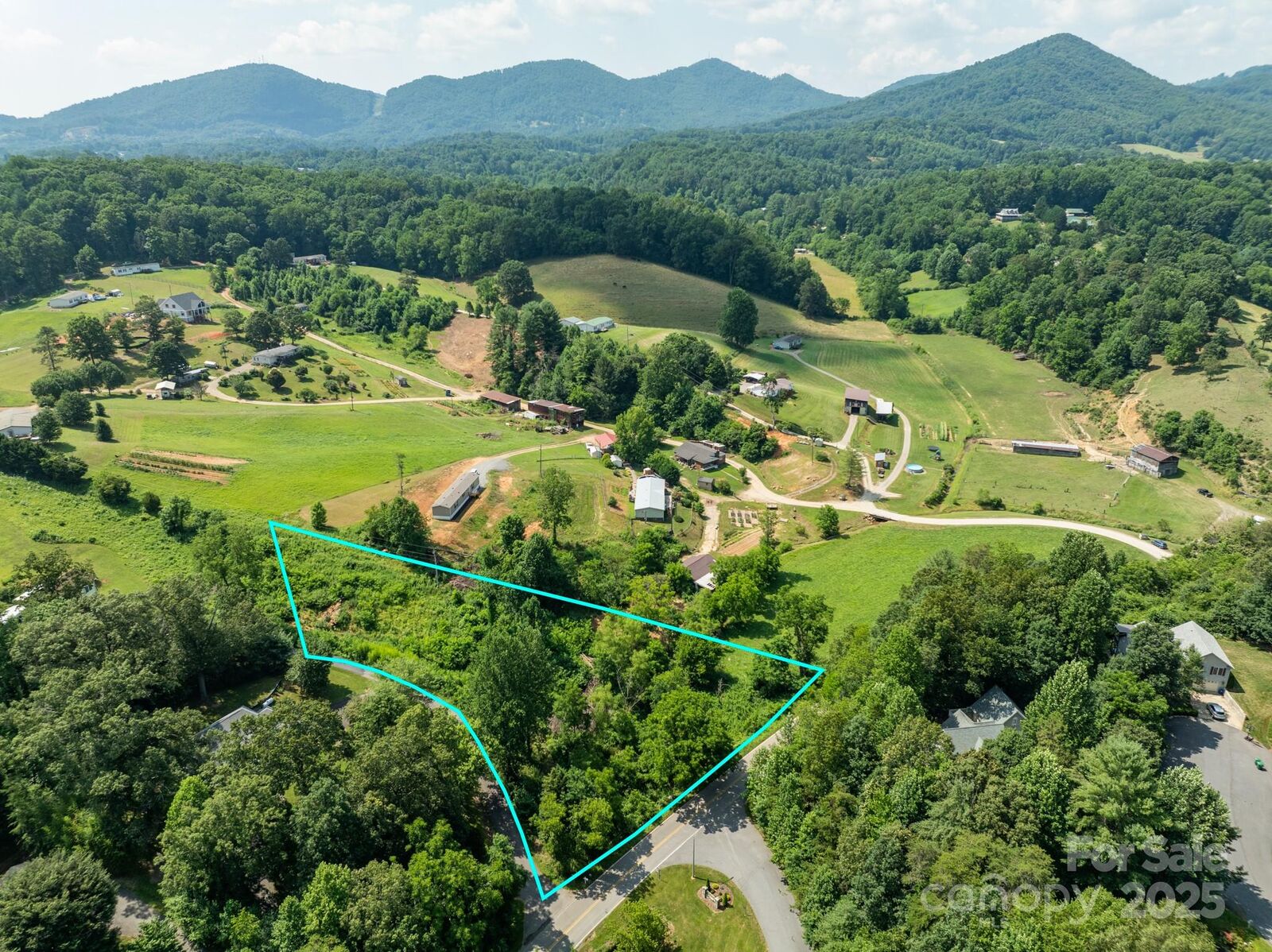 Property Photo:  52 Goughes Branch Road  NC 28748 