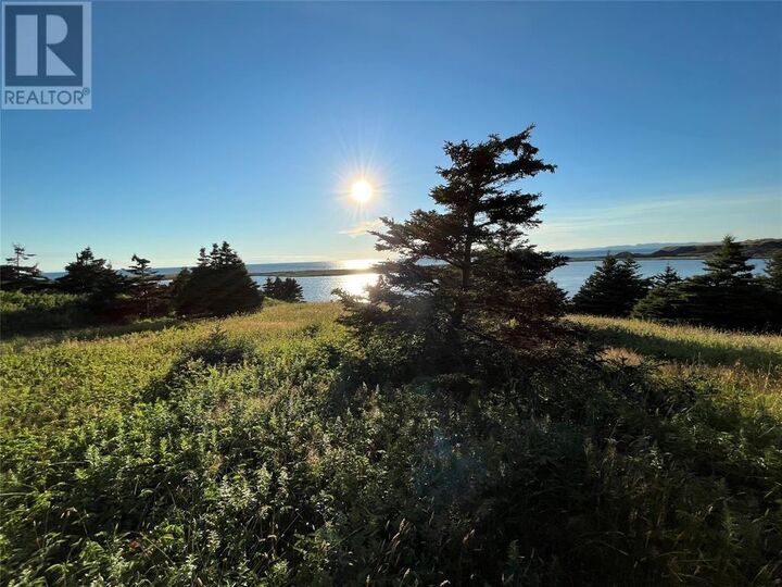 Property Photo:  117 Cape Shore Highway  NL A0B 2Y0 