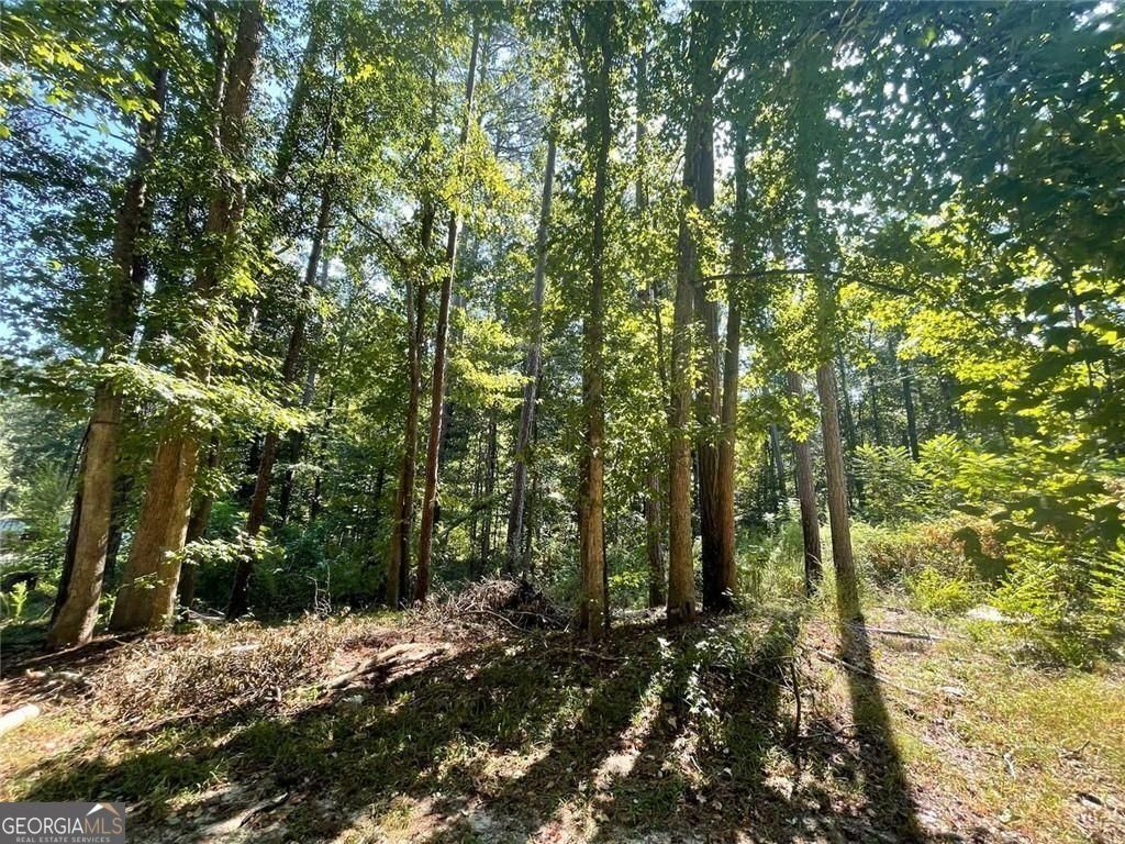 Property Photo: 6031 Falcon Court GA 30106