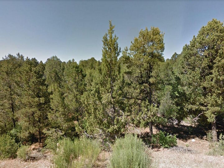 Property Photo:  Zion Hunting Est Blk 1 Lot 22  UT 84762