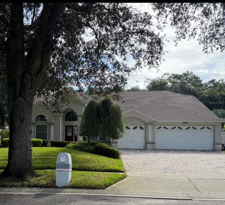 940 Manchester Avenue  Oviedo FL 32765 photo