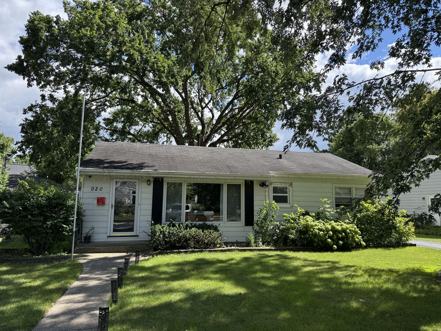 Property Photo: 920 Douglas Avenue IL 60540