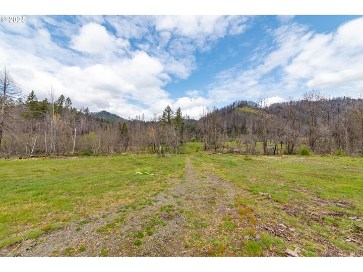 91747 Blue River Reservoir Rd  Blue River OR 97413 photo