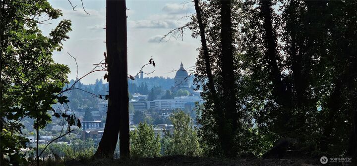 Property Photo: 1124 Pear Street NE WA 98506