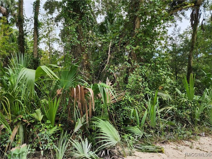 Property Photo:  13046 E Shawnee Trail  FL 34450 