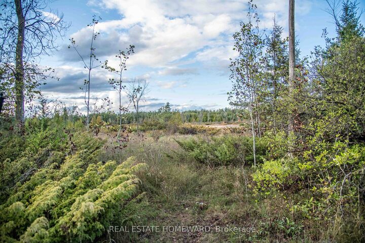 254-256 McGuire Beach Road — photo 1