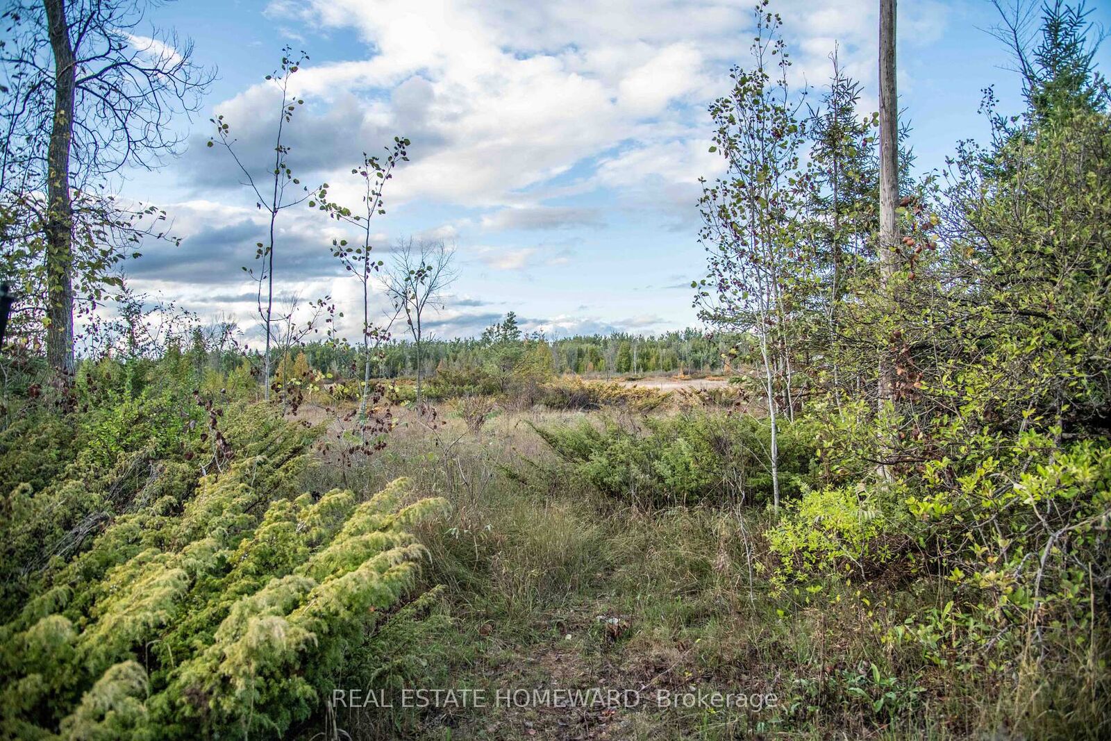 Property Photo:  254-256 McGuire Beach Road  ON K0M 2B0 