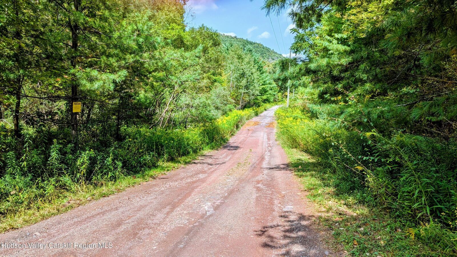 Property Photo:  2 Cohen  NY 12468 