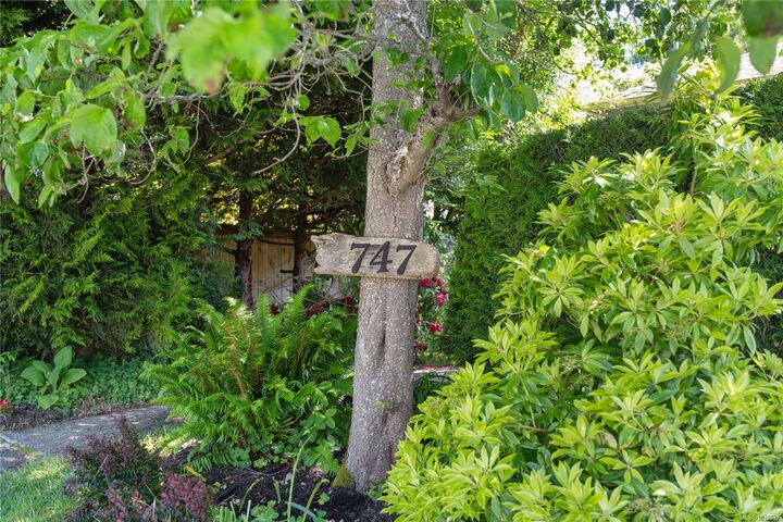 Property Photo:  747 Falkland Rd  BC V8S 4L9 