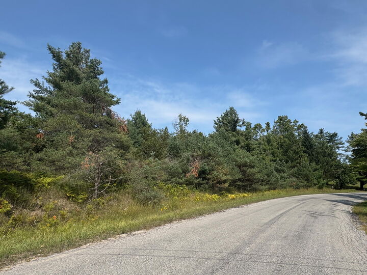 Vl Oley Lake Road  Gaylord MI 49735 photo