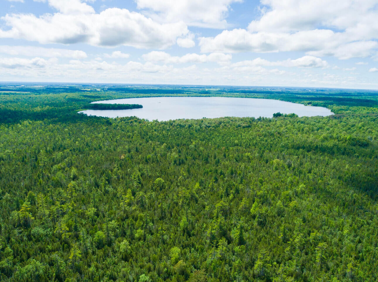 Property Photo:  V/L 80ac Kroll Highway  MI 49776 