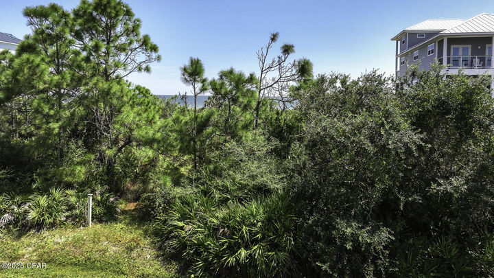 Property Photo:  2240 Sailfish Drive  FL 32328 