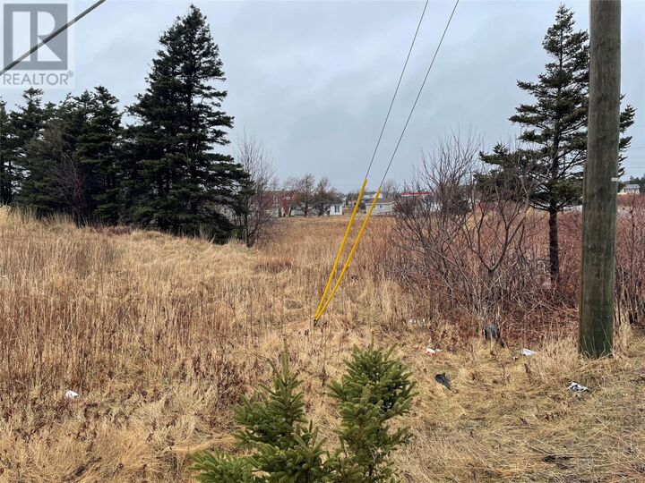Property Photo:  93 West Street And 17 Boland Drive  NL A2N 1E6 