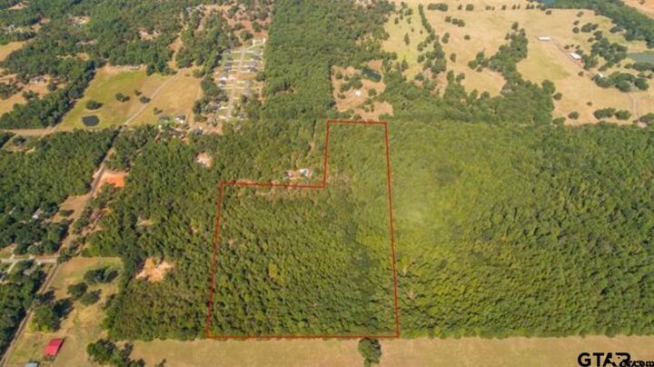 Property Photo: Tbd Cr 479 (Tract 4) TX 75771