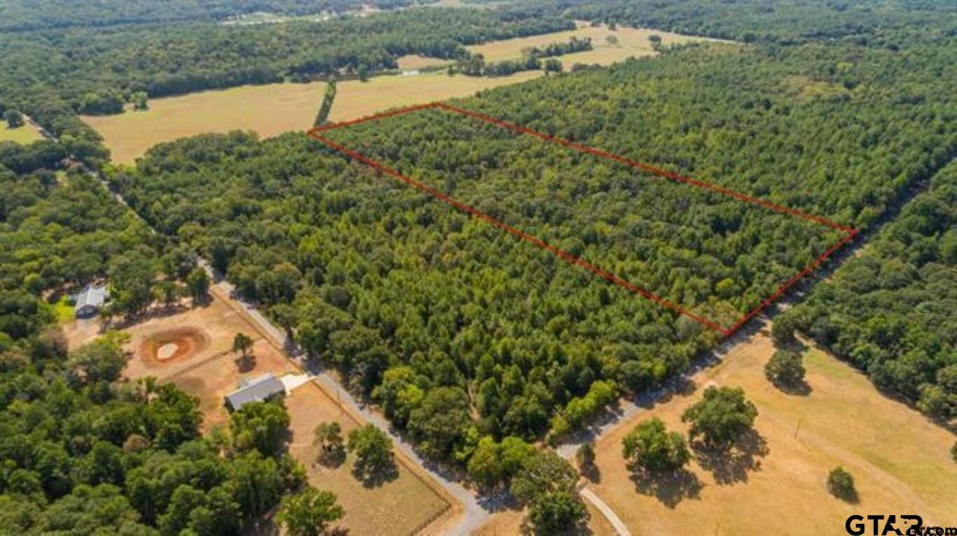 Property Photo:  Tbd Cr 479 (Tract 2)  TX 75771 