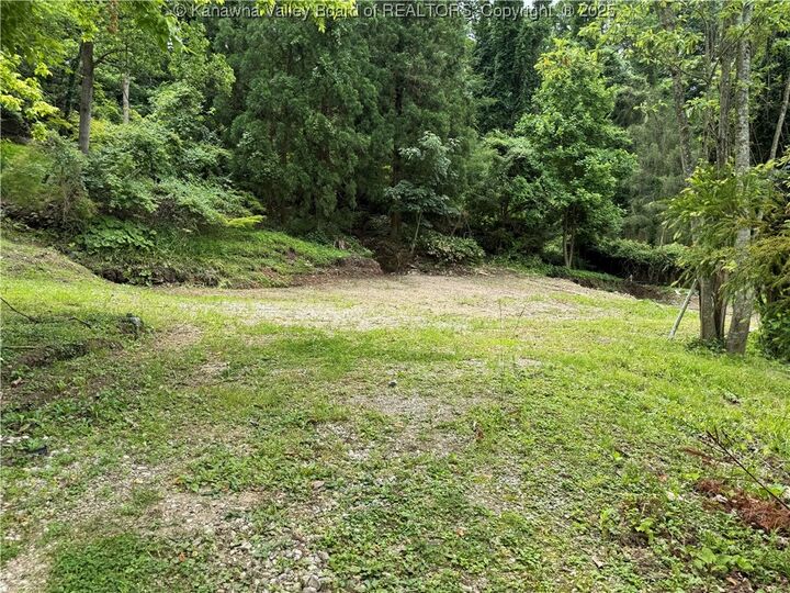 Property Photo:  729 Gordon Drive  WV 25303 