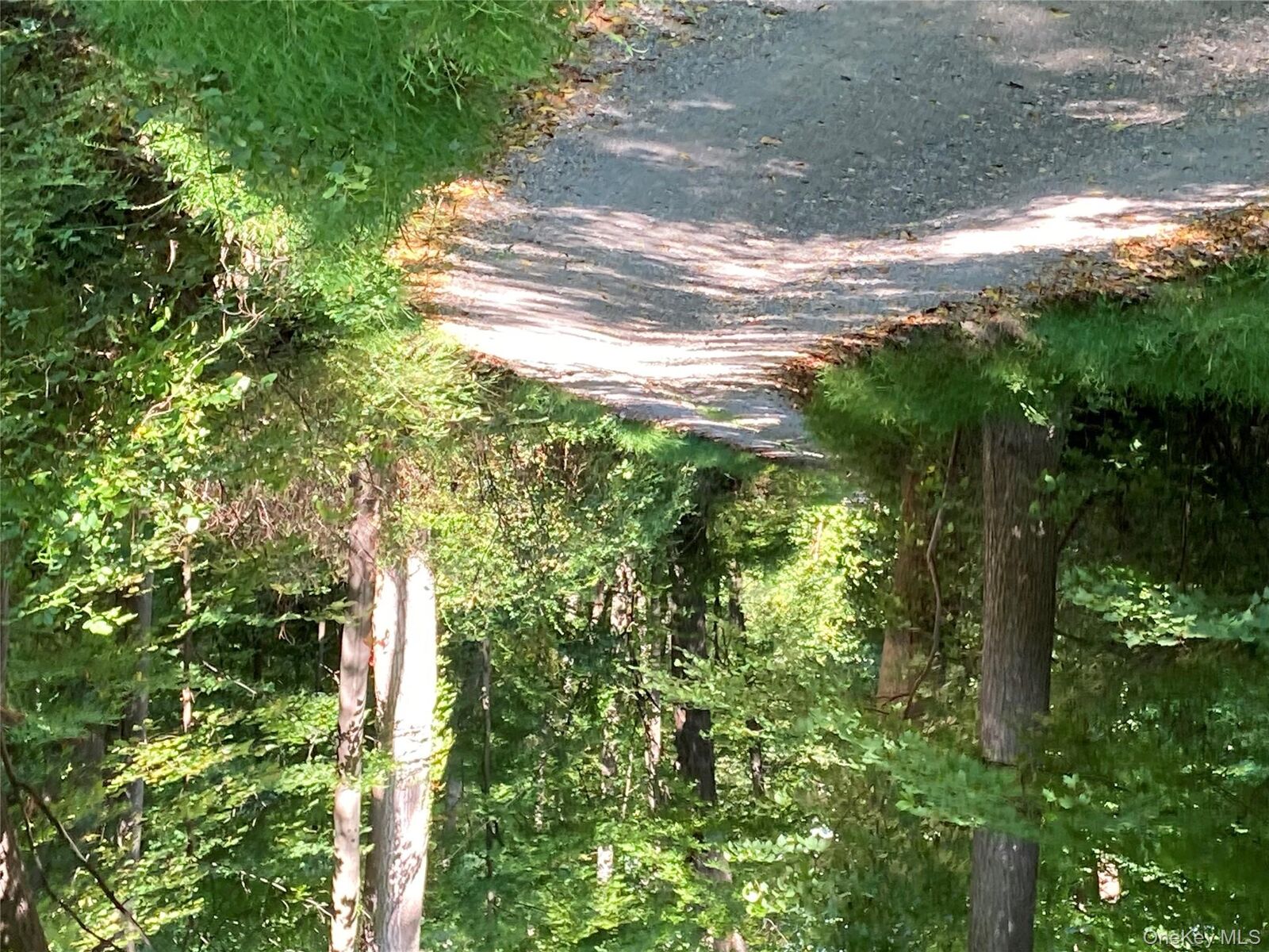 Property Photo:  Melzingah Road  NY  