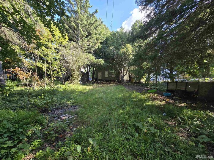 Property Photo:  139 S Pewabic Street  MI 49913 
