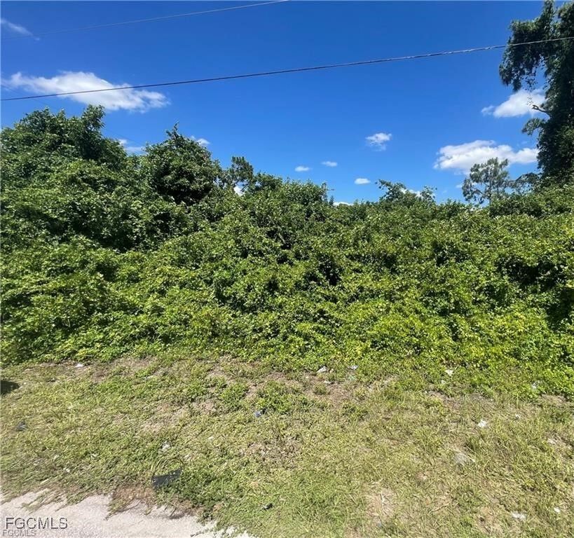 Property Photo:  437/439 Loretta Avenue S  FL 33974 