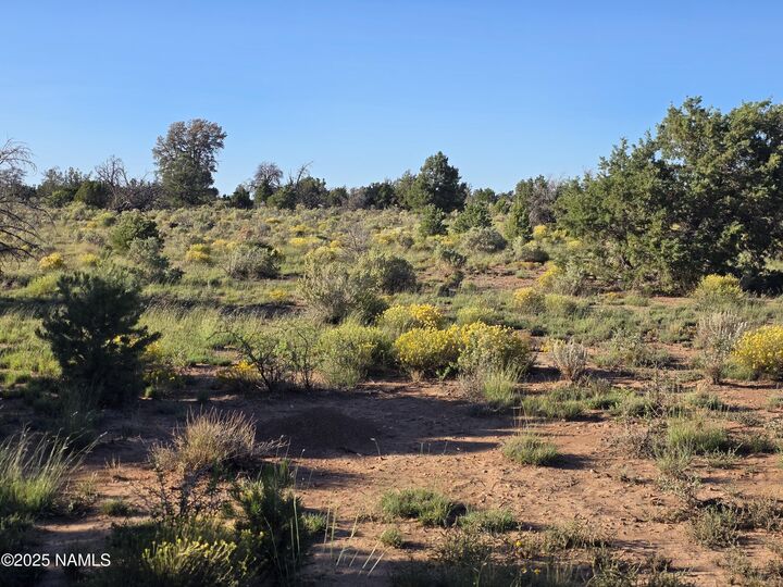 Property Photo:  #50231228A Red Butte Rd Parcel #50231228A  AZ 86046 