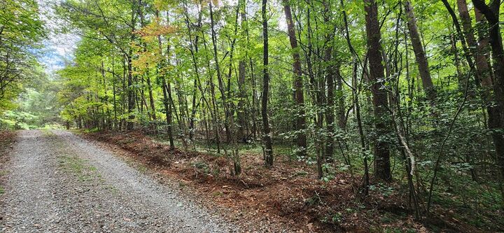 Property Photo:  Lt 14,15 Donna Lee Lane  GA 30559 