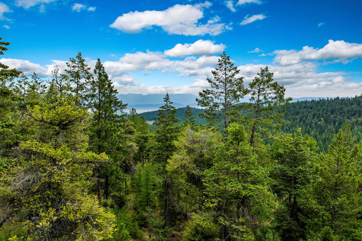 Property Photo:  Nhn (Tract 9) Boon Road  MT 59932 