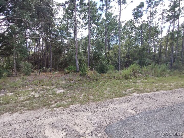 Property Photo:  1051 W Cary Drive  FL 34434 