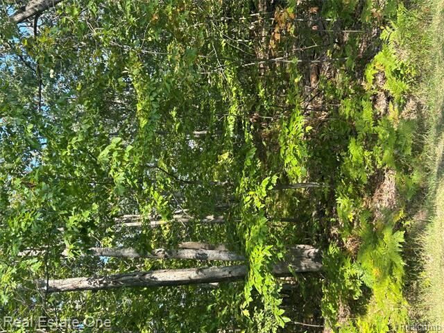 Property Photo: Lot 1860 Gray Hawk Court MI 48735