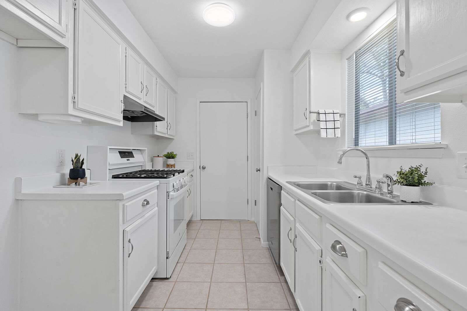 Property Photo:  4606 Gray Fox Drive  TX 78759 