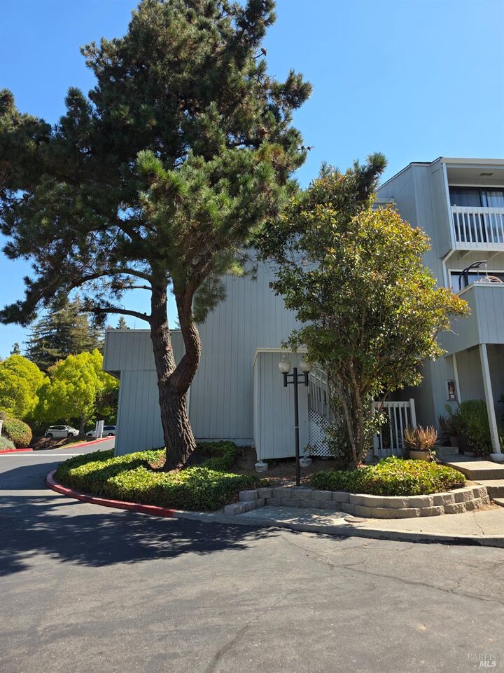 Property Photo:  165 Oddstad Drive 67  CA 94589 