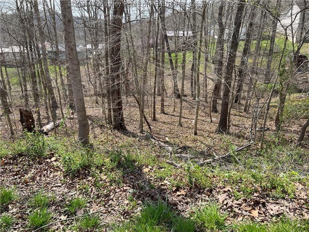 Property Photo:  1189 Hillcrest Drive  WV 25177 