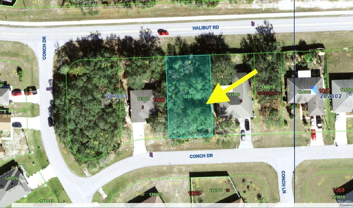Property Photo: 193 Conch Drive FL 34759