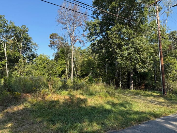 Property Photo: 0 Ovoca Rd TN 37388
