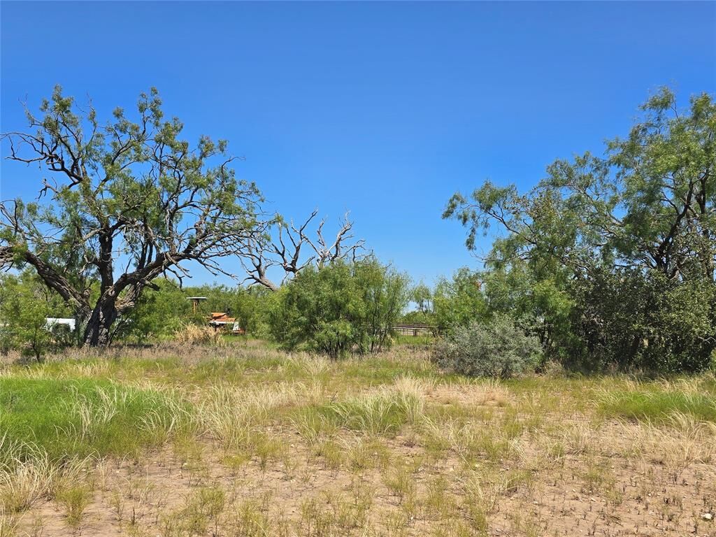 Property Photo: Tbd Fm 2132 TX 76882