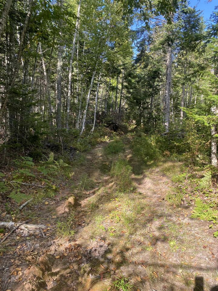 Photo de la propriété:  Acreage 74 Acres Hopefield  PE C0A 1W0 