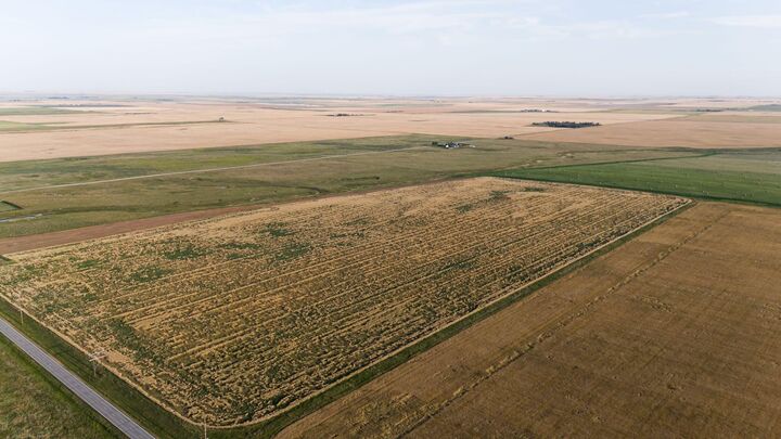 Township Road 142  Rural Willow Creek No. 26, M.d. of AB T0L 1Z0 photo