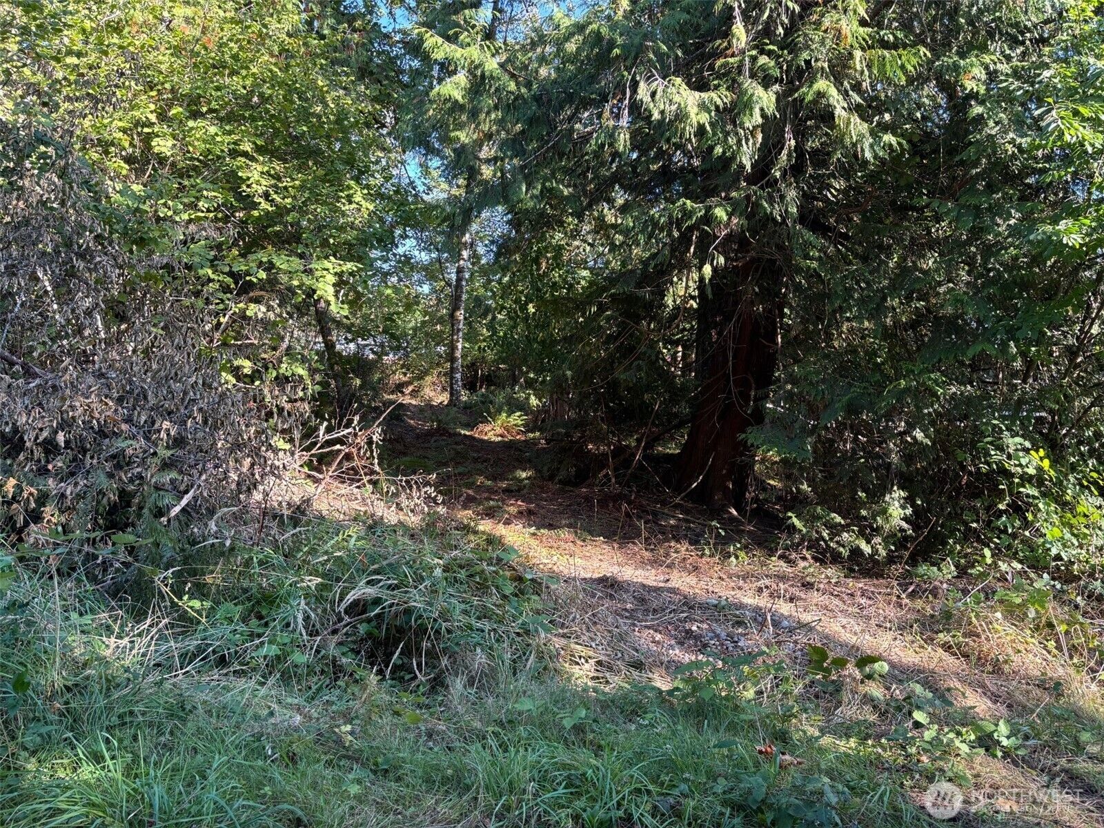 Property Photo:  41 E Soundview Drive  WA 98584 