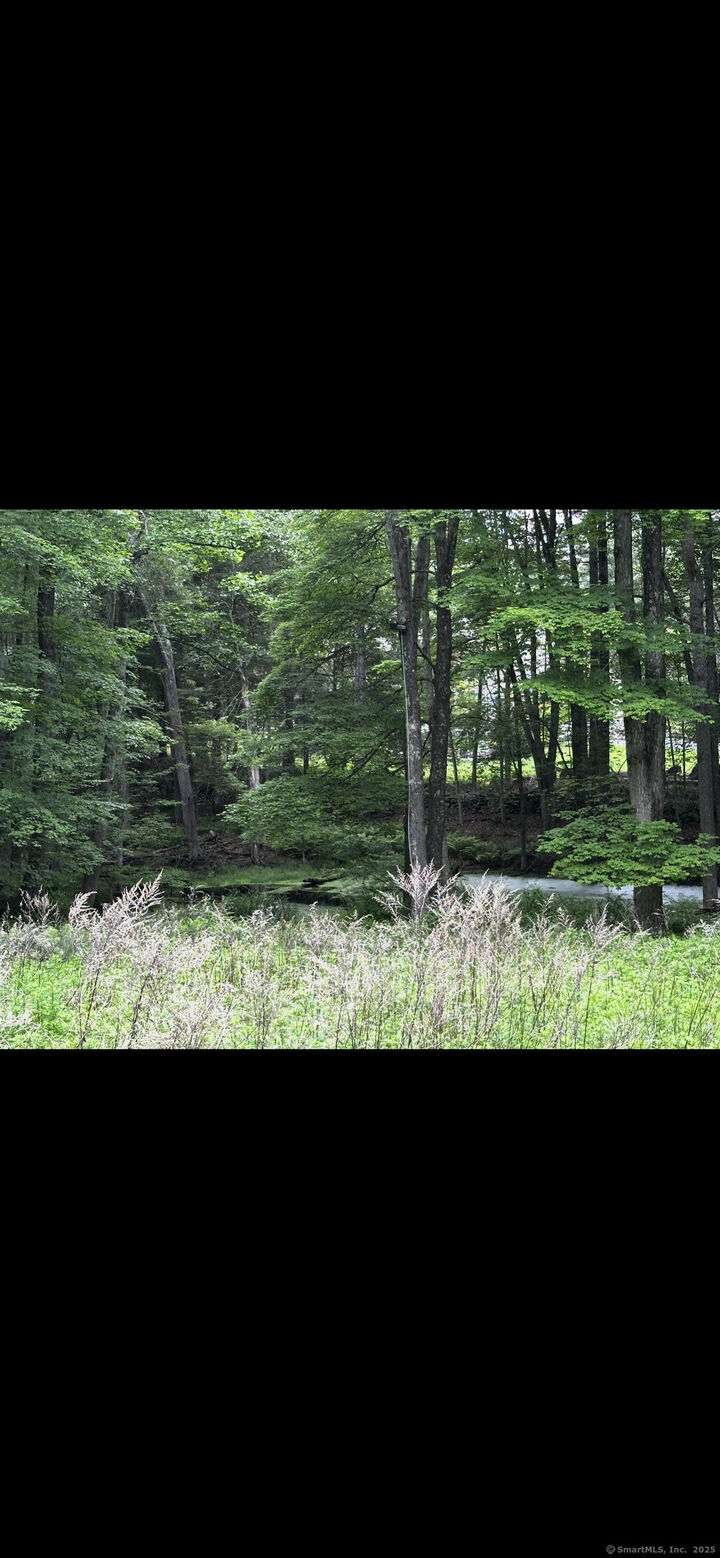 34 Riverford Road  Brookfield CT 06804 photo