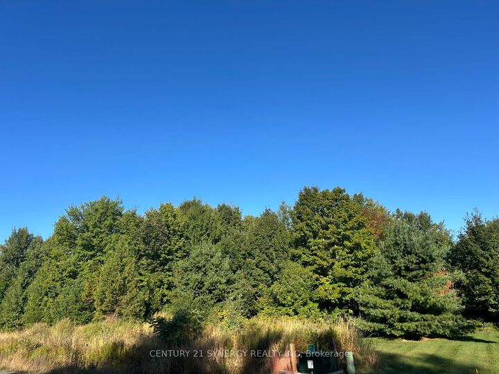 Property Photo:  124 Derbeyshire Street  ON K2W 0E7 