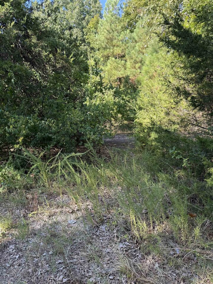 Property Photo: 1213 Ridge Circle AR 72512