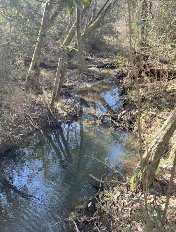 Property Photo:  13 Acres Jack Rd  FL 32567 