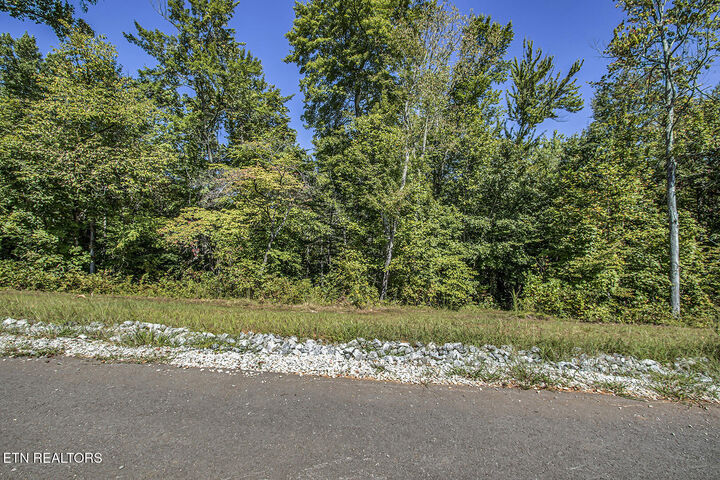 Property Photo:  167 Canter Way  TN 37771 
