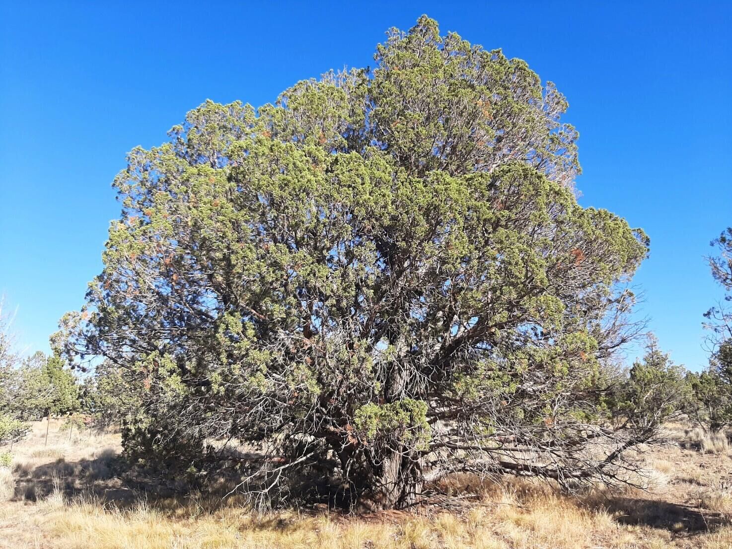 Property Photo:  SE Tillamook Loop  OR 97754 