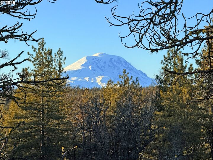 Property Photo:  Boardman Way 5  WA 98620 